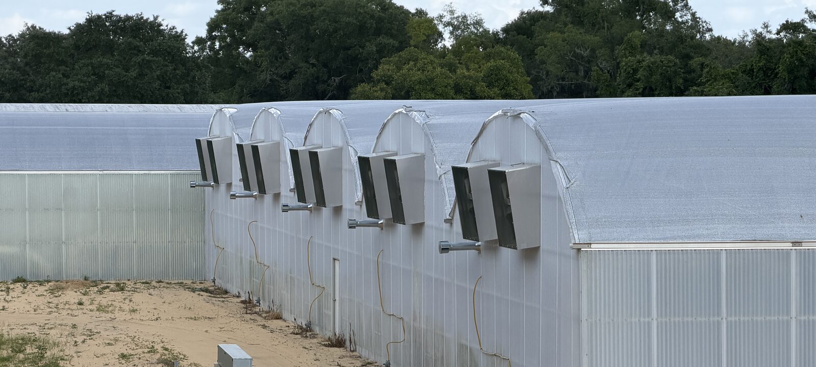 Florida Fresh Events greenhouse where plants are grown