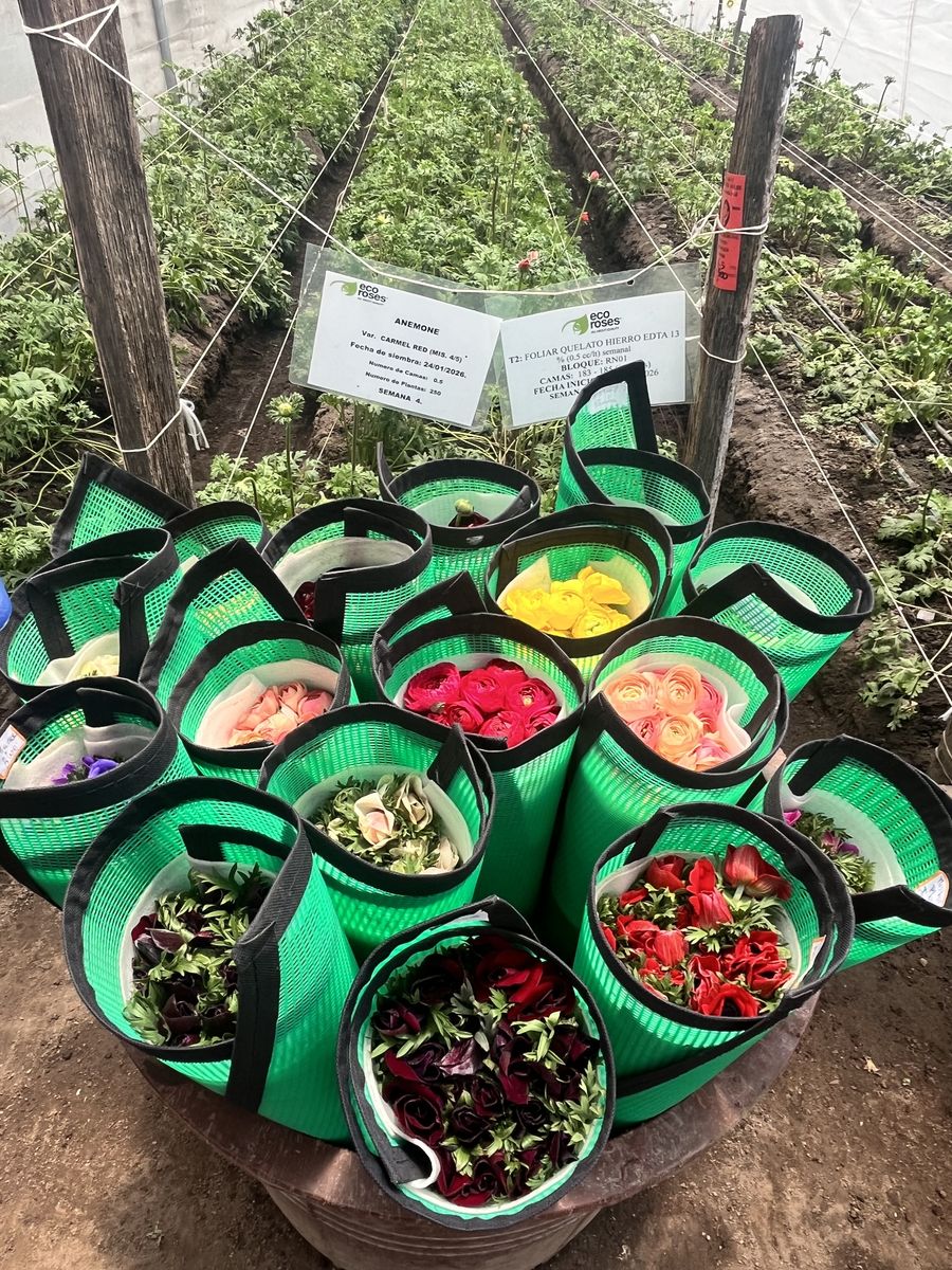 Greenhouse operations