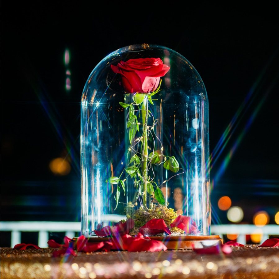 Enchanted rose cloche centerpiece