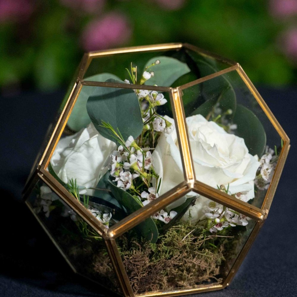 Geometric terrarium – white roses