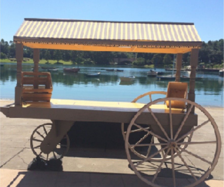 Three-wheeled wooden vendor cart with canopy
