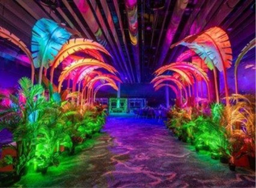Neon palm leaves and plants in planters with uplighting