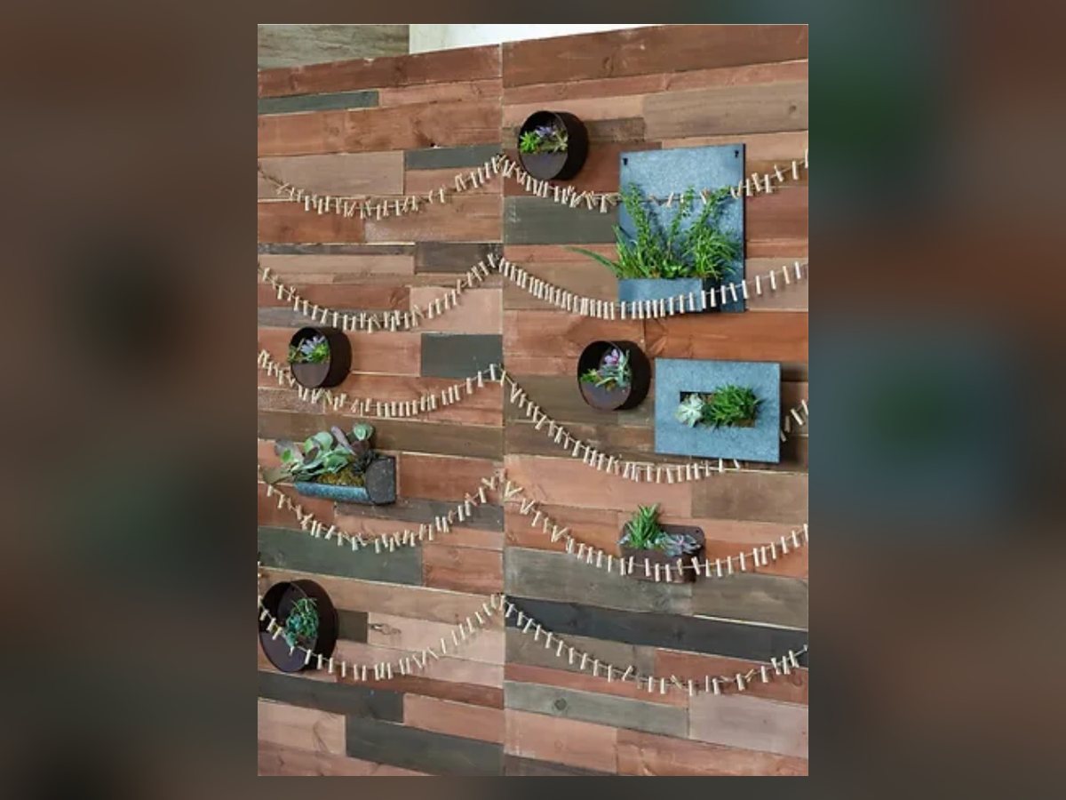 Rustic reclaimed wood wall panels with hanging planters