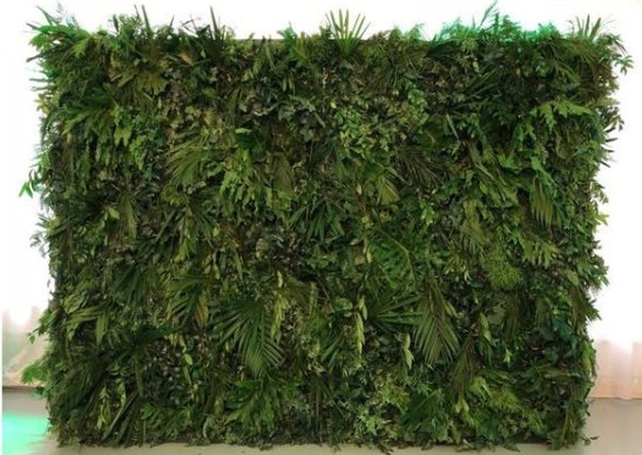 Tropical foliage wall with custom acrylic signage