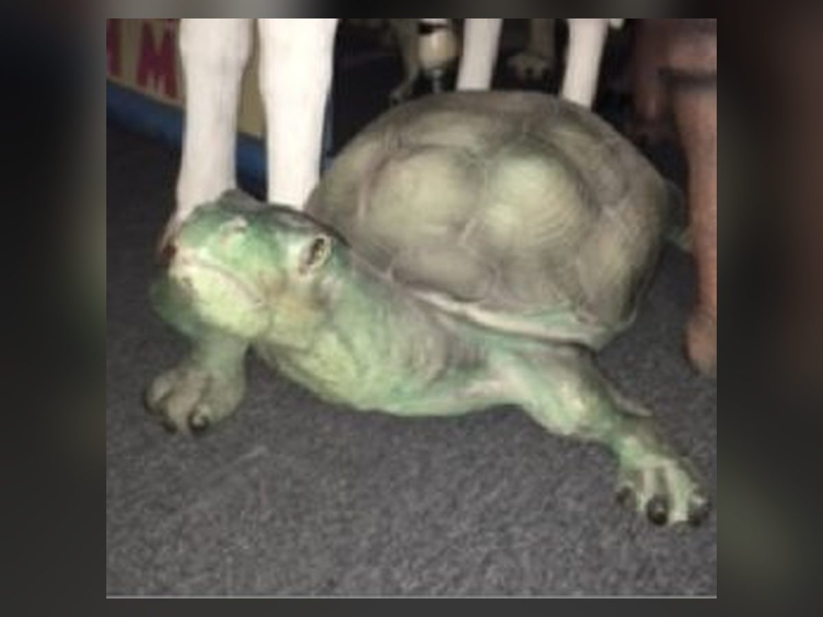 Sea turtle statue