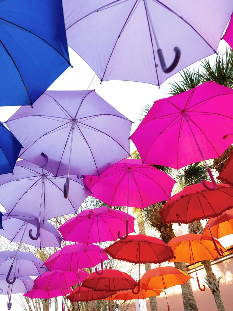Colorful suspended umbrella sky canopy
